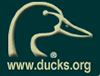 Ducks Unlimited